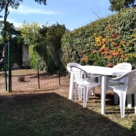 Joli Independant Avec Jardin Et Piscine Partages Arces-sur-Gironde
